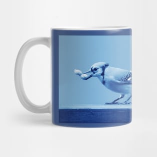 Blue Jay Mug